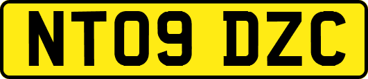 NT09DZC