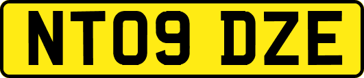 NT09DZE