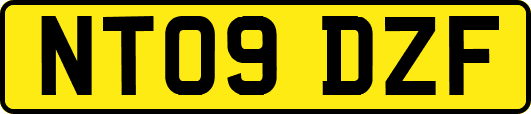 NT09DZF