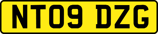 NT09DZG