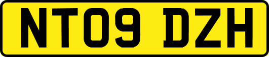 NT09DZH