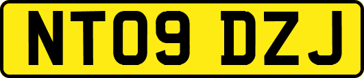 NT09DZJ