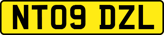 NT09DZL