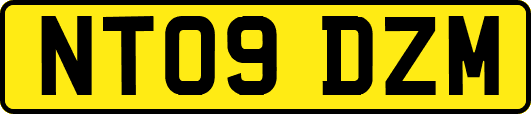 NT09DZM