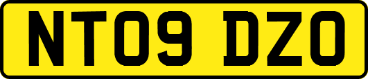 NT09DZO