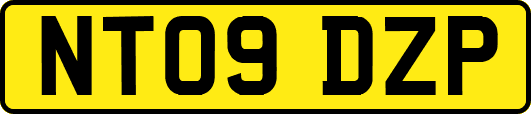 NT09DZP