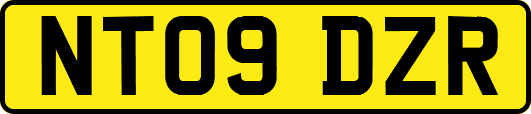 NT09DZR