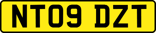 NT09DZT