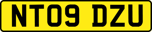 NT09DZU