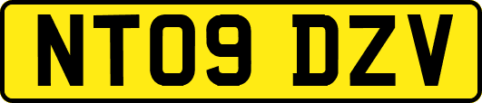 NT09DZV