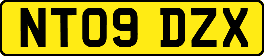 NT09DZX