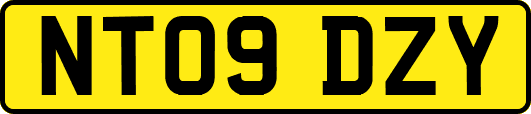 NT09DZY