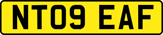 NT09EAF