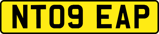 NT09EAP
