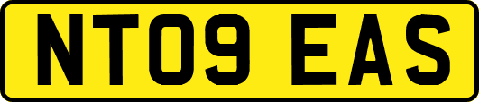 NT09EAS