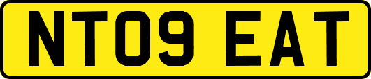 NT09EAT