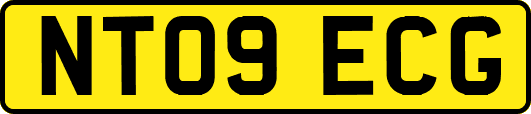 NT09ECG