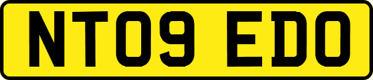 NT09EDO