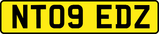 NT09EDZ