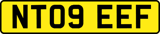 NT09EEF