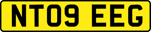 NT09EEG