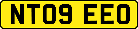 NT09EEO