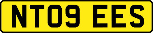 NT09EES