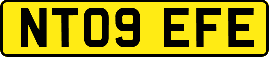 NT09EFE