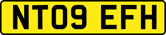 NT09EFH