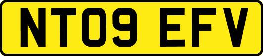 NT09EFV
