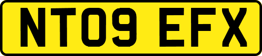 NT09EFX