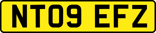NT09EFZ