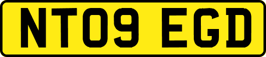 NT09EGD