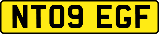 NT09EGF