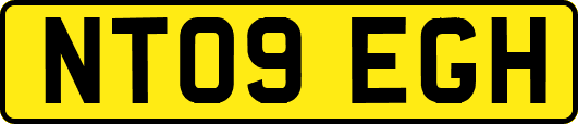NT09EGH