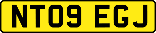 NT09EGJ