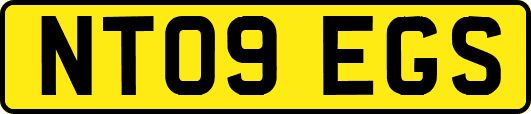NT09EGS