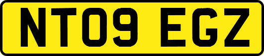 NT09EGZ