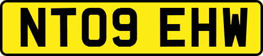 NT09EHW