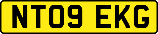 NT09EKG