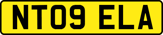 NT09ELA