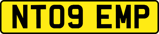 NT09EMP