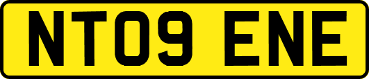 NT09ENE