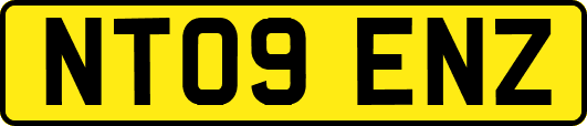 NT09ENZ