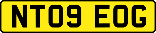 NT09EOG