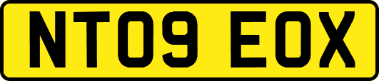 NT09EOX