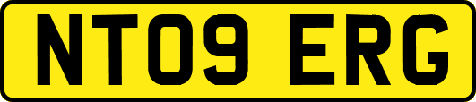 NT09ERG