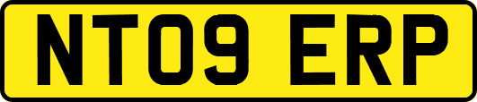 NT09ERP