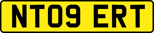 NT09ERT
