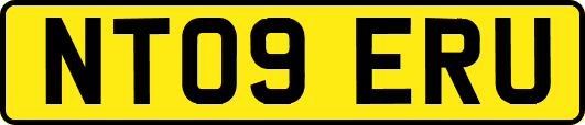 NT09ERU
